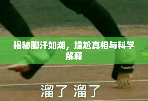 揭秘腳汗如潮，尷尬真相與科學(xué)解釋