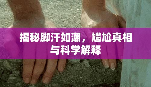 揭秘腳汗如潮，尷尬真相與科學(xué)解釋
