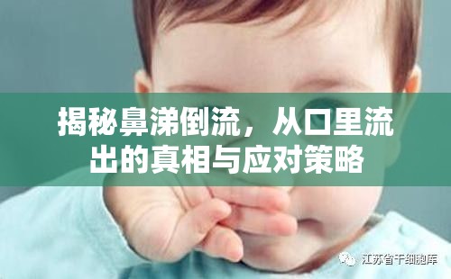 揭秘鼻涕倒流，從口里流出的真相與應對策略