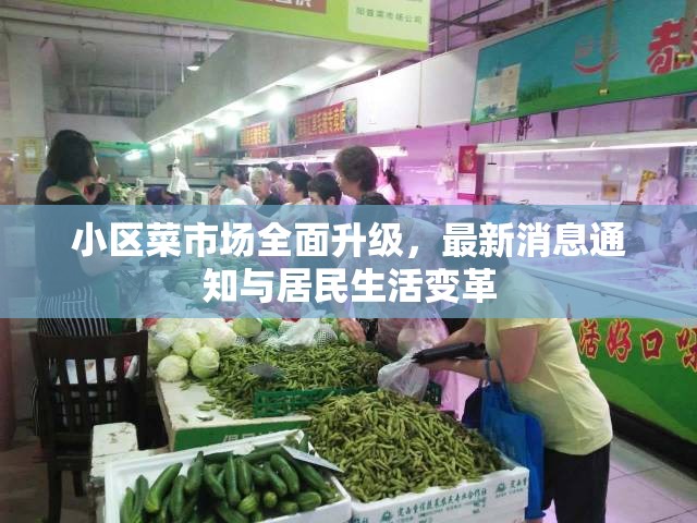 小區(qū)菜市場(chǎng)全面升級(jí)，最新消息通知與居民生活變革