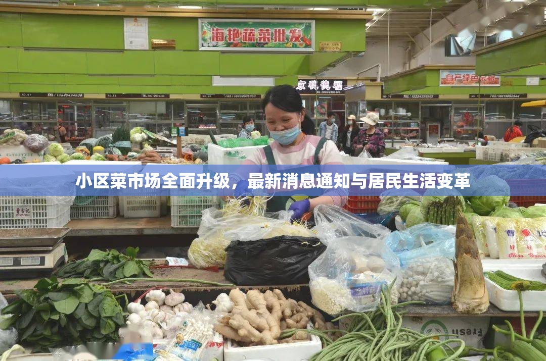 小區(qū)菜市場(chǎng)全面升級(jí)，最新消息通知與居民生活變革