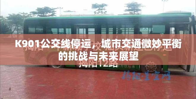 K901公交線停運，城市交通微妙平衡的挑戰(zhàn)與未來展望