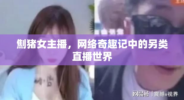 劁豬女主播，網(wǎng)絡(luò)奇趣記中的另類直播世界
