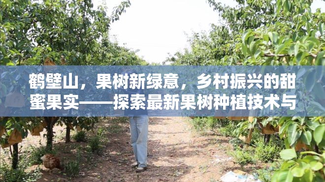 鶴壁山，果樹新綠意，鄉(xiāng)村振興的甜蜜果實——探索最新果樹種植技術與應用