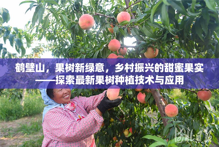 鶴壁山，果樹新綠意，鄉(xiāng)村振興的甜蜜果實——探索最新果樹種植技術與應用