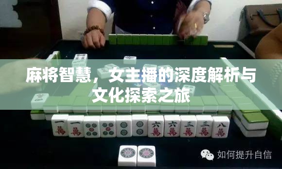 麻將智慧，女主播的深度解析與文化探索之旅