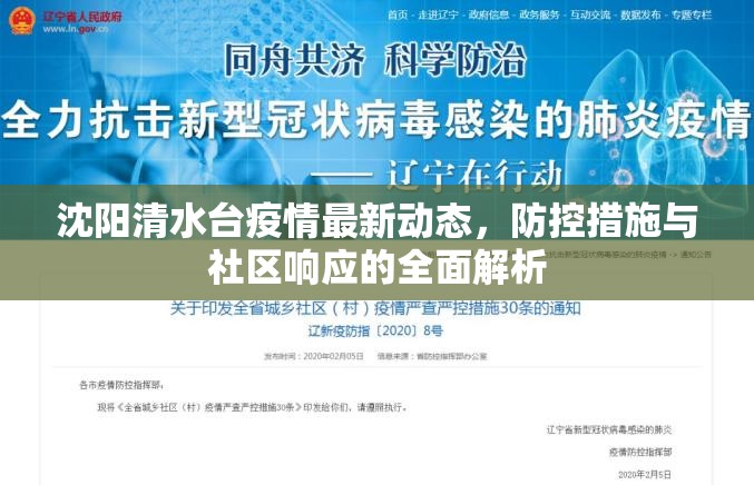 沈陽清水臺疫情最新動態(tài)，防控措施與社區(qū)響應(yīng)的全面解析