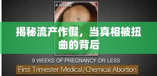 揭秘流產(chǎn)作假，當(dāng)真相被扭曲的背后