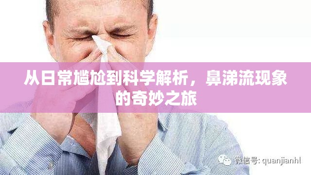 從日常尷尬到科學(xué)解析，鼻涕流現(xiàn)象的奇妙之旅