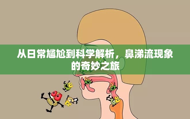 從日常尷尬到科學(xué)解析，鼻涕流現(xiàn)象的奇妙之旅