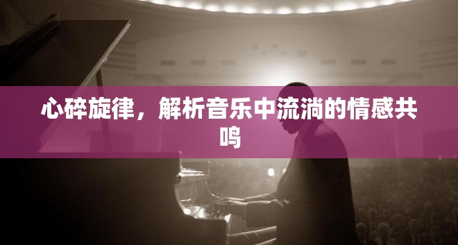心碎旋律，解析音樂中流淌的情感共鳴