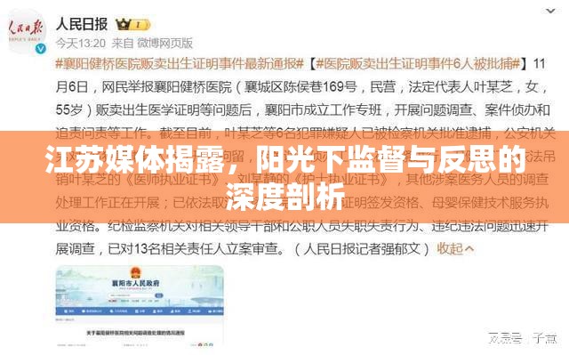 江蘇媒體揭露，陽(yáng)光下監(jiān)督與反思的深度剖析