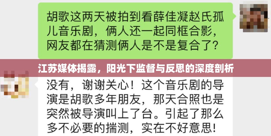 江蘇媒體揭露，陽(yáng)光下監(jiān)督與反思的深度剖析