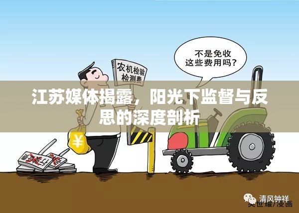 江蘇媒體揭露，陽(yáng)光下監(jiān)督與反思的深度剖析