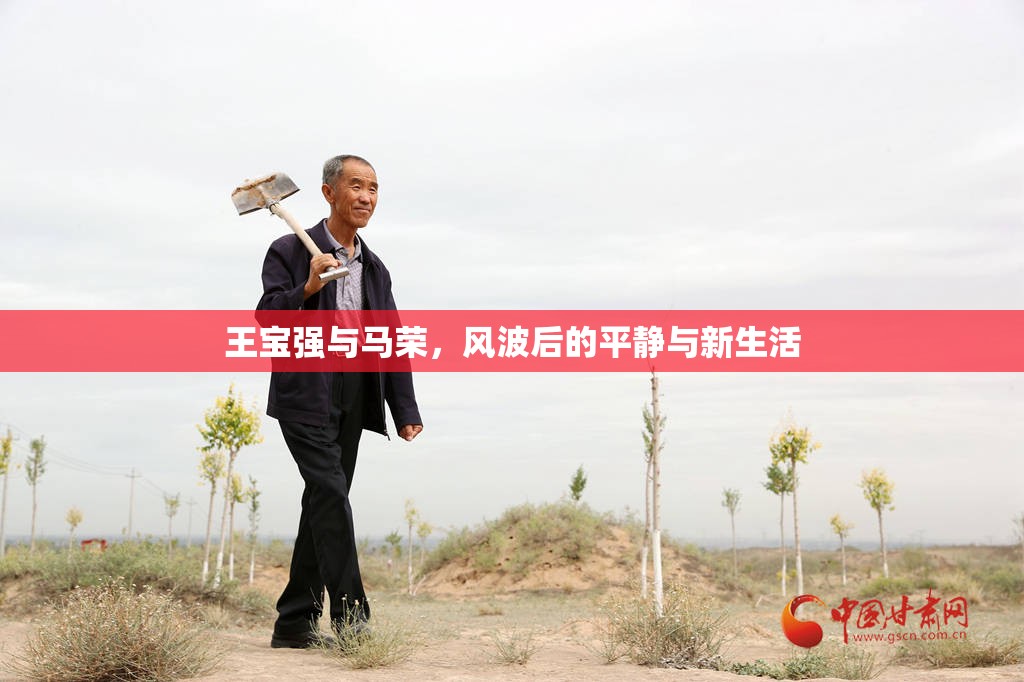 王寶強與馬榮，風波后的平靜與新生活
