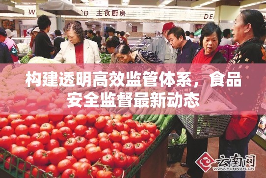 構(gòu)建透明高效監(jiān)管體系，食品安全監(jiān)督最新動(dòng)態(tài)