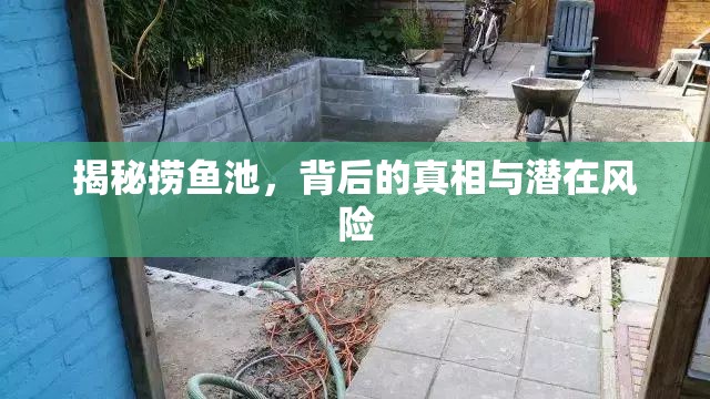 揭秘?fù)启~池，背后的真相與潛在風(fēng)險(xiǎn)