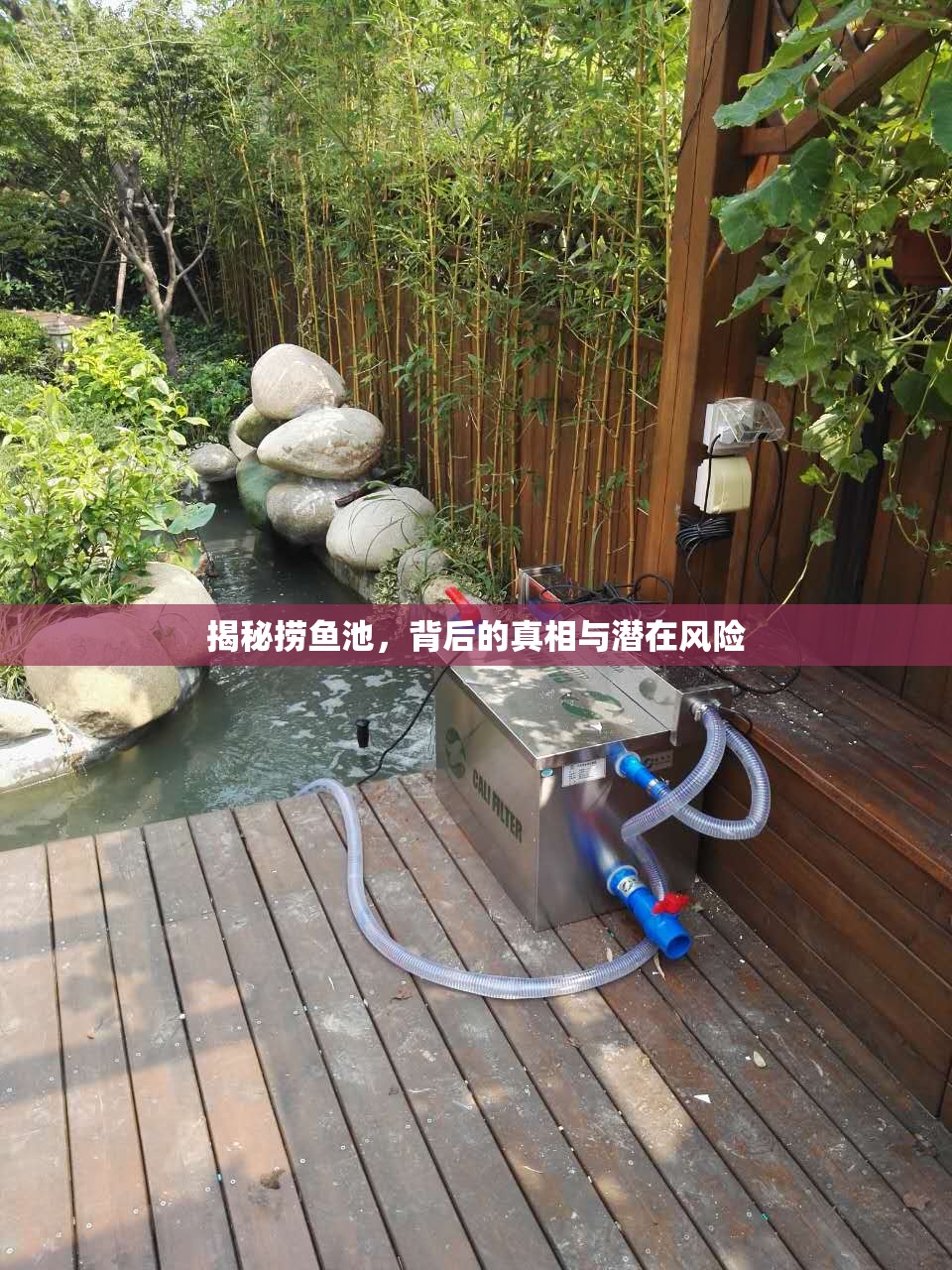 揭秘?fù)启~池，背后的真相與潛在風(fēng)險(xiǎn)