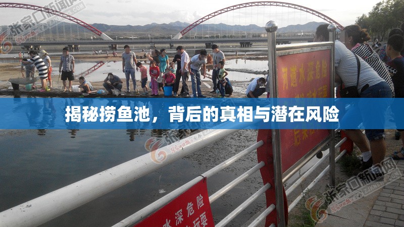 揭秘?fù)启~池，背后的真相與潛在風(fēng)險(xiǎn)