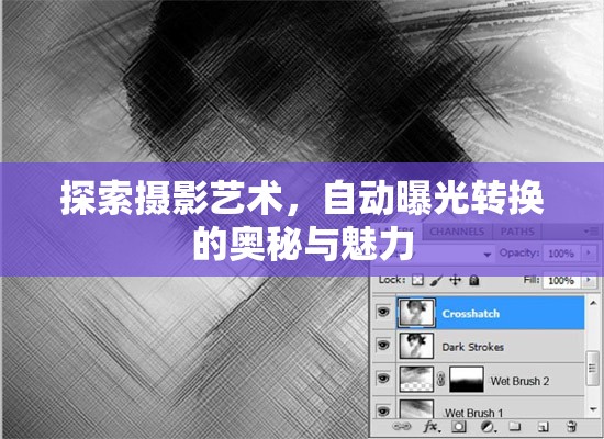 探索攝影藝術(shù)，自動(dòng)曝光轉(zhuǎn)換的奧秘與魅力