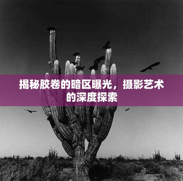 揭秘膠卷的暗區(qū)曝光，攝影藝術的深度探索