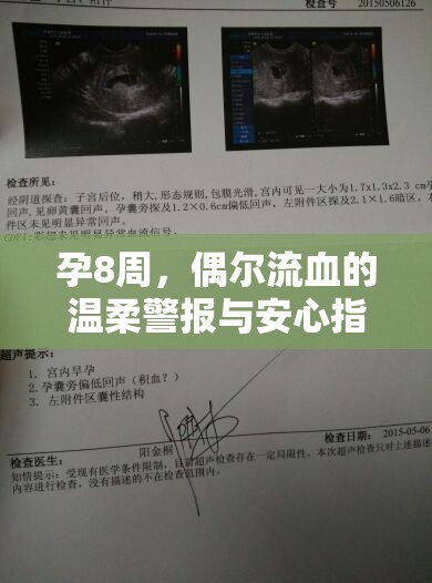 孕8周，偶爾流血的溫柔警報與安心指南