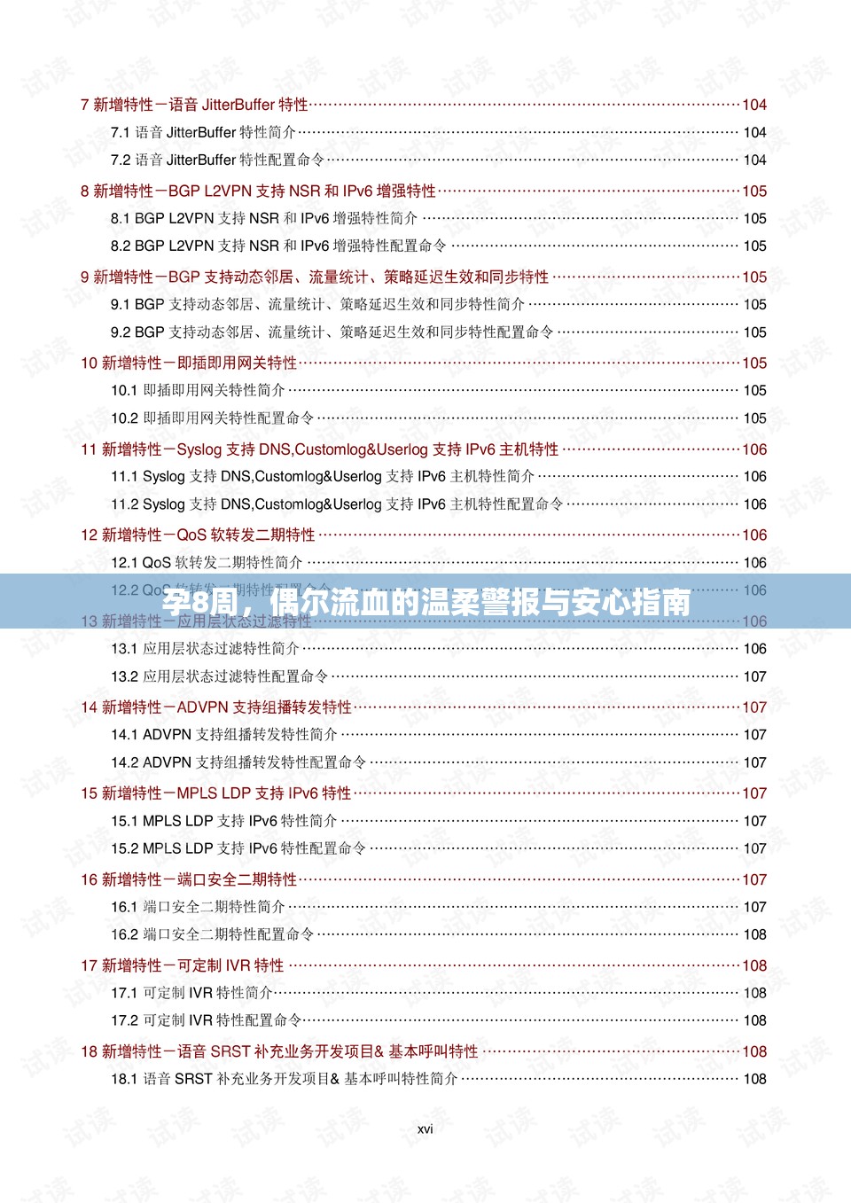 孕8周，偶爾流血的溫柔警報與安心指南