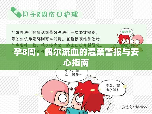 孕8周，偶爾流血的溫柔警報與安心指南