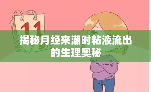 揭秘月經(jīng)來潮時粘液流出的生理奧秘