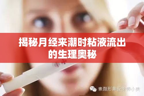 揭秘月經(jīng)來潮時粘液流出的生理奧秘