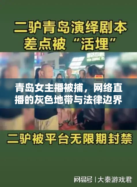 青島女主播被捕，網(wǎng)絡(luò)直播的灰色地帶與法律邊界的警示