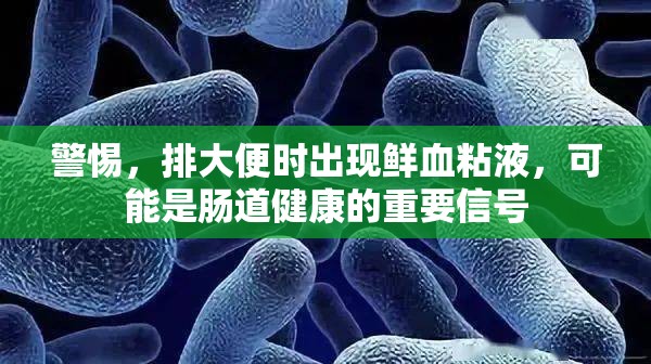 警惕，排大便時出現(xiàn)鮮血粘液，可能是腸道健康的重要信號