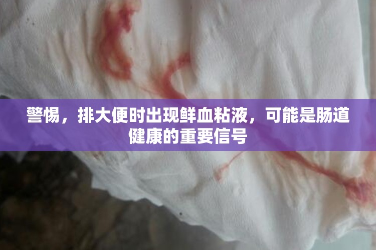 警惕，排大便時出現(xiàn)鮮血粘液，可能是腸道健康的重要信號