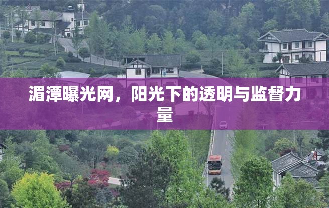 湄潭曝光網(wǎng)，陽光下的透明與監(jiān)督力量