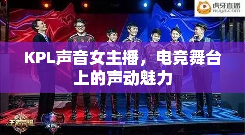 KPL聲音女主播，電競(jìng)舞臺(tái)上的聲動(dòng)魅力