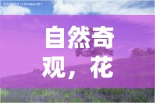 自然奇觀(guān)，花蜜觸手下的生命微妙邂逅