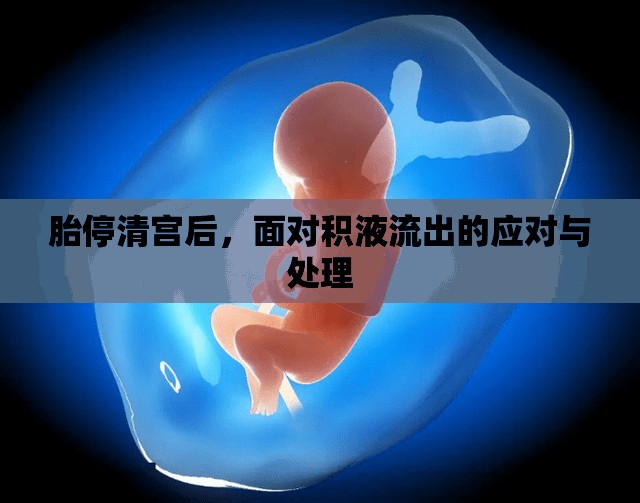 胎停清宮后，面對積液流出的應(yīng)對與處理