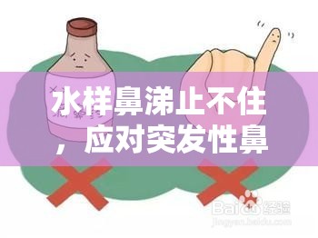 水樣鼻涕止不住，應(yīng)對突發(fā)性鼻漏的實用指南
