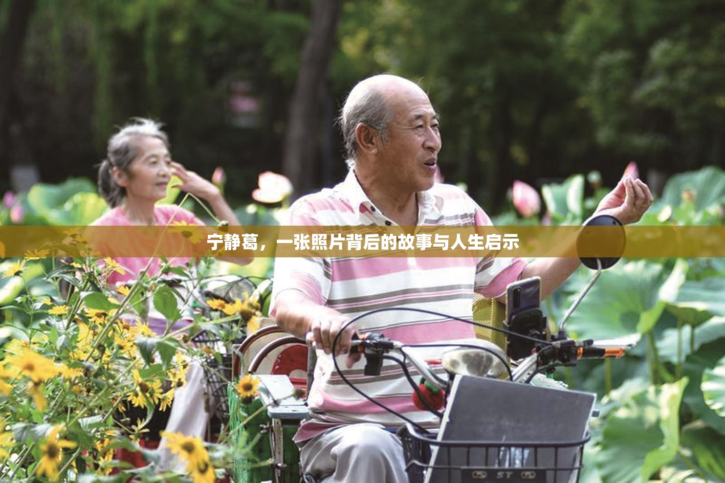 寧靜葛，一張照片背后的故事與人生啟示