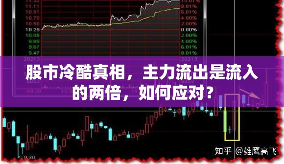 股市冷酷真相，主力流出是流入的兩倍，如何應(yīng)對？