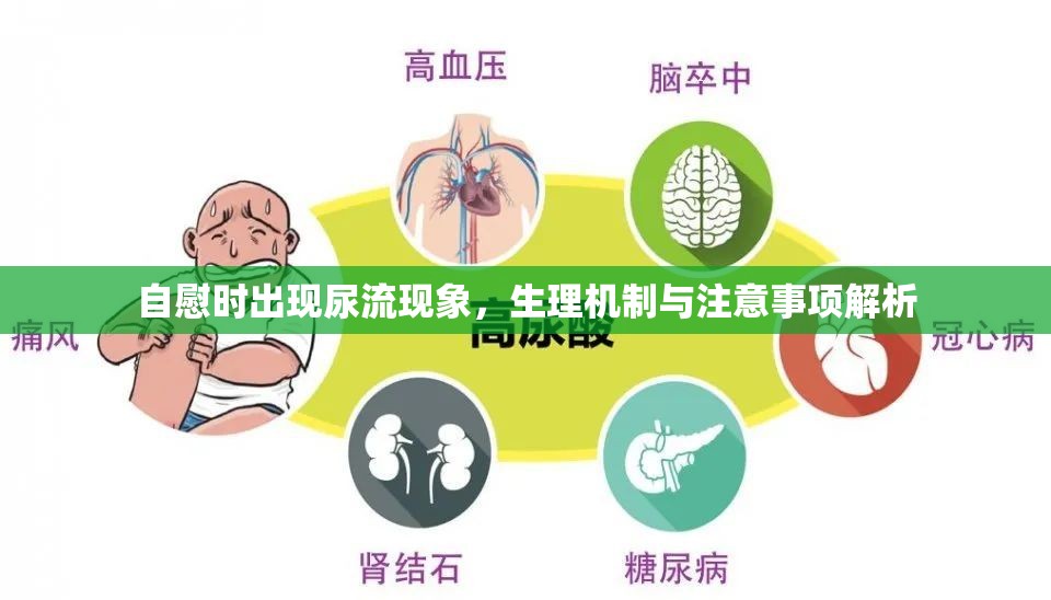 自慰時出現(xiàn)尿流現(xiàn)象，生理機(jī)制與注意事項(xiàng)解析