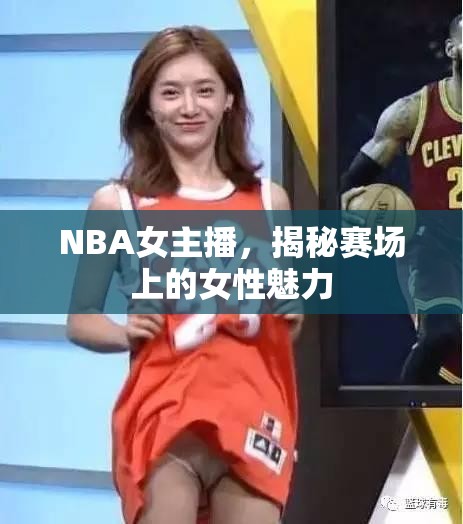 NBA女主播，揭秘賽場上的女性魅力