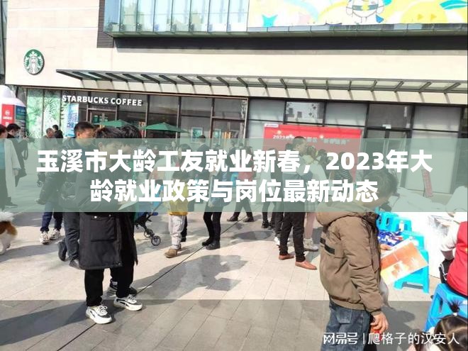 玉溪市大齡工友就業(yè)新春，2023年大齡就業(yè)政策與崗位最新動態(tài)
