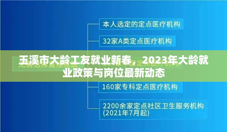 玉溪市大齡工友就業(yè)新春，2023年大齡就業(yè)政策與崗位最新動態(tài)
