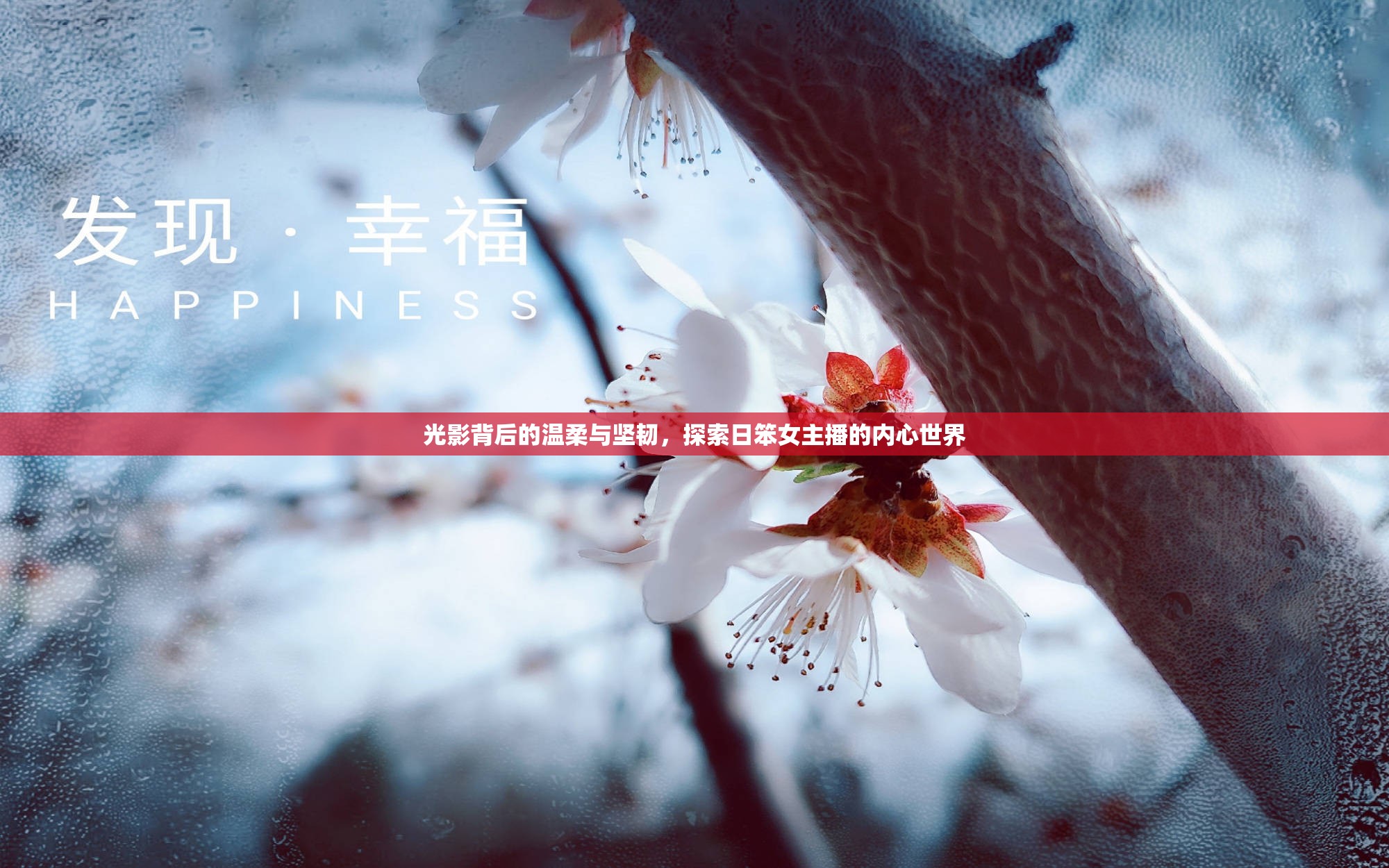光影背后的溫柔與堅韌，探索日笨女主播的內(nèi)心世界