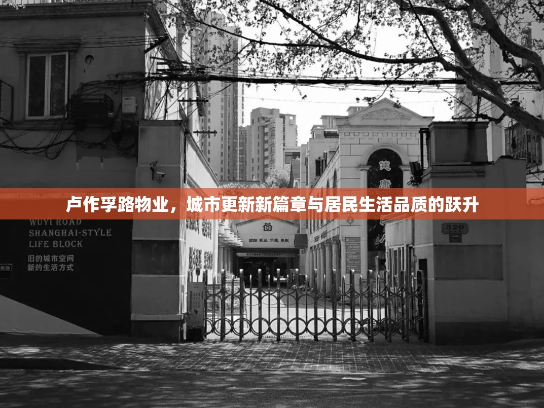 盧作孚路物業(yè)，城市更新新篇章與居民生活品質(zhì)的躍升