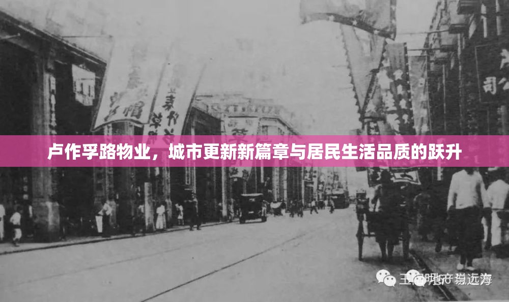 盧作孚路物業(yè)，城市更新新篇章與居民生活品質(zhì)的躍升