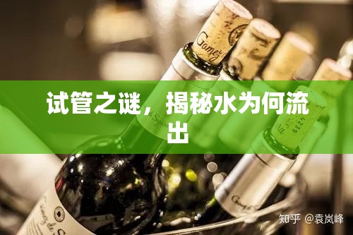 試管之謎，揭秘水為何流出