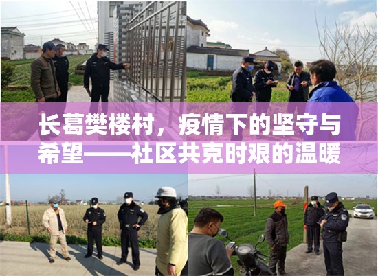 長葛樊樓村，疫情下的堅守與希望——社區(qū)共克時艱的溫暖篇章