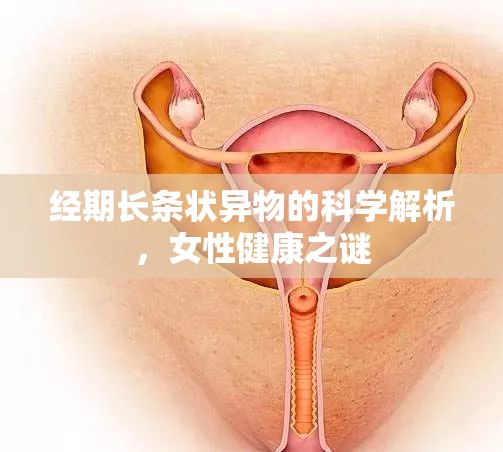 經(jīng)期長(zhǎng)條狀異物的科學(xué)解析，女性健康之謎